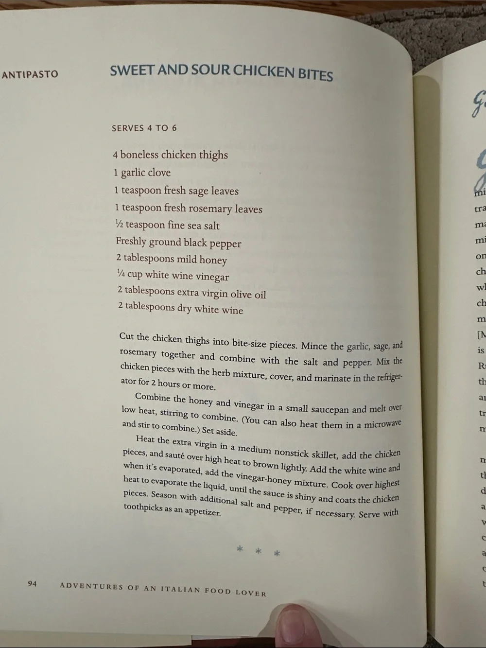 Adventurers of an Italian Food Lover cookbook .